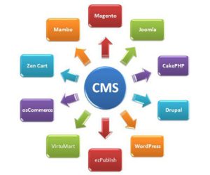تفاوت CMS های مختلف برای طراحی سایت